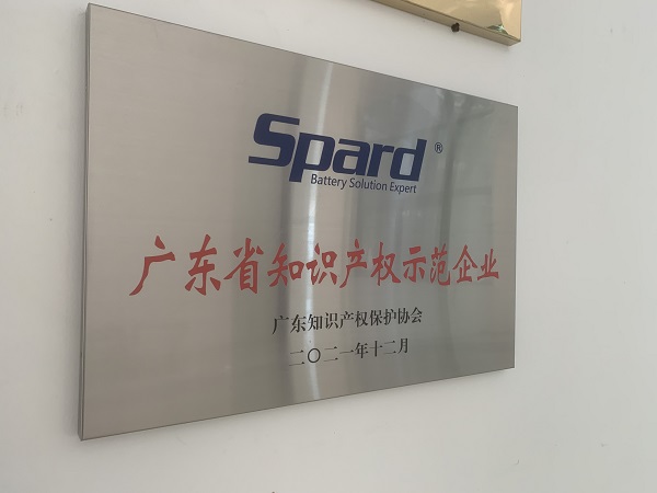 榴莲视频官网下载新能源荣获2021年度广东省知识产权示范企业