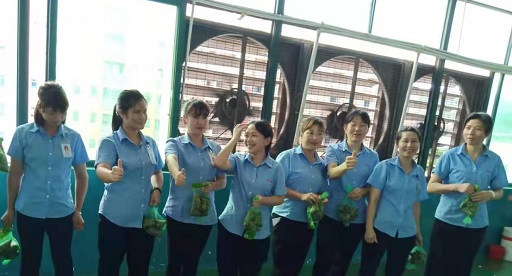 榴莲视频官网下载新能源锂榴莲视频污版厂家,向组装pack生产线发放端午福利